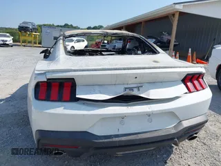 2024 Ford Mustang GT with VIN 1FA6P8CF5R5412439, listed as a IAAI auction lot 40215878 with Not provided miles and . Bid and sale history available at DreamBid. Image 13.