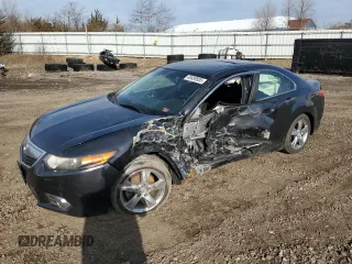 2011 Acura TSX with VIN JH4CU2F63BC003905, listed as a Copart auction lot 49459935 with 113,342 mi miles and Salvage Title. Bid and sale history available at carsss.com. Image 1.