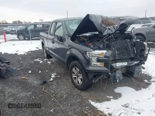 2016 Ford F-150 XL с VIN 1FTEX1C81GFB09051, выставлен на аукционе IAAI как лот 41300134 с пробегом 232 746 миль миль и . История ставок и продаж доступна на DreamBid. Изображение 1.