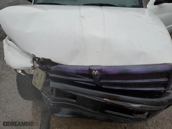 1999 Dodge Ram 1500 with VIN 1B7HC16X8XS213569, listed as a Copart auction lot 83028614 with 0 mi miles and Salvage Title. Bid and sale history available at carsss.com. Image 11.