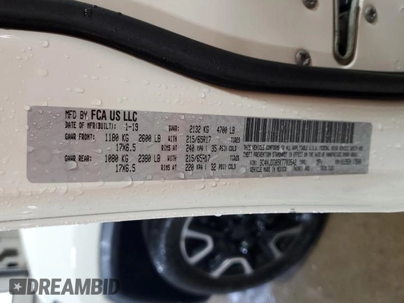2019 Jeep Compass Trailhawk with VIN 3C4NJDDB5KT703542, listed as a Copart auction lot 54506705 with 86,178 mi miles and Salvage Title. Bid and sale history available at DreamBid. Image 13.