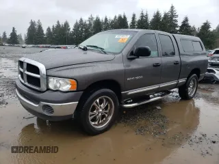 2002 Dodge 1500 with VIN 3D7HU18N72G165352, listed as a Copart auction lot 46918575 with Not Provided miles and Salvage Title. Bid and sale history available at carsss.com. Image 1.