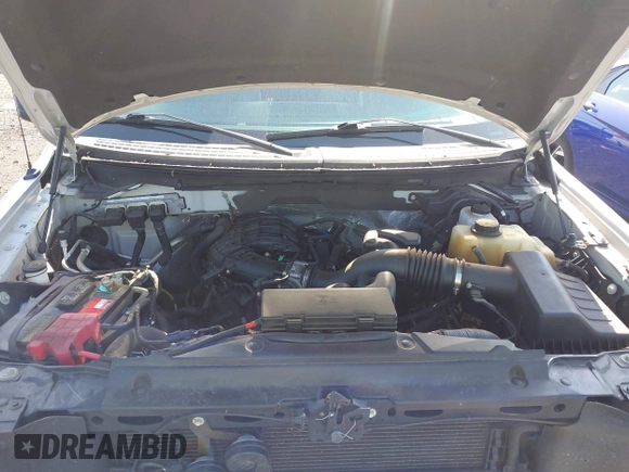 2011 Ford F-150 XL with VIN 1FTMF1EM6BFC33849, listed as a IAAI auction lot 42532968 with 121,018 mi miles and . Bid and sale history available at DreamBid. Image 10.
