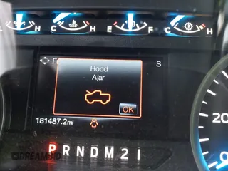 2017 Ford F-150 XL with VIN 1FTEX1EP9HKC95502, listed as a IAAI auction lot 41731718 with 181,487 mi miles. Bid and sale history available at carsss.com. Image 7.