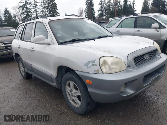 2004 Hyundai Santa Fe GLS with VIN KM8SC13D04U584320, listed as a IAAI auction lot 41847029 with 285,462 mi miles. Bid and sale history available at carsss.com. Image 1.