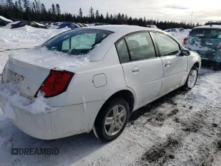 2007 Saturn ION with VIN 1G8AJ55F17Z209663, listed as a Copart auction lot 43846215 with 0 mi miles and Salvage Title. Bid and sale history available at carsss.com. Image 3.