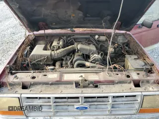 1992 Ford Ranger Splash with VIN 1FTCR10A7KUC02265, listed as a Copart auction lot 68237674 with 22,726 mi miles and Non Repairable. Bid and sale history available at DreamBid. Image 11.