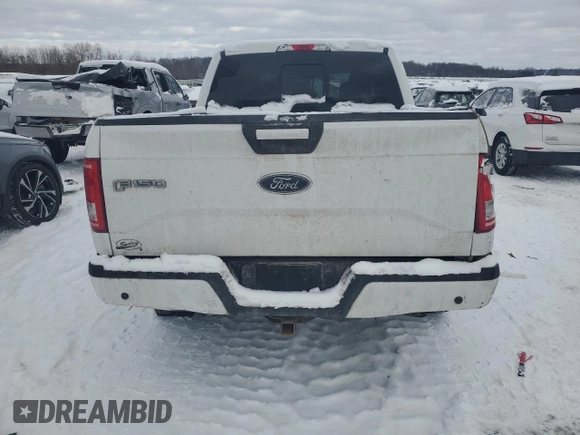 2017 Ford F-150 XL with VIN 1FTEW1EG8HFB44257, listed as a Copart auction lot 88734505 with 118,204 mi miles and Clean Title. Bid and sale history available at carsss.com. Image 6.