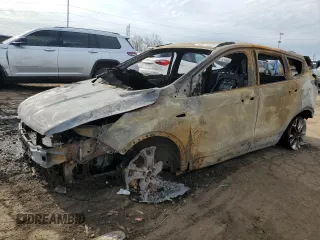 2013 Ford Escape SE with VIN 1FMCU0GX1DUB14474, listed as a Copart auction lot 49611525 with Not provided miles and Salvage title. Bid and sale history available at DreamBid. Image 1.