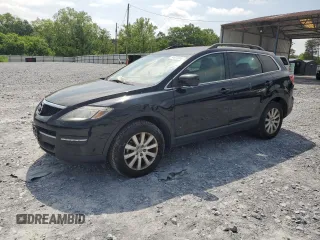 2009 Mazda CX-9 Touring with VIN JM3TB38V990170077, listed as a Copart auction lot 54633665 with 164,173 mi miles and Clean Title. Bid and sale history available at carsss.com. Image 1.
