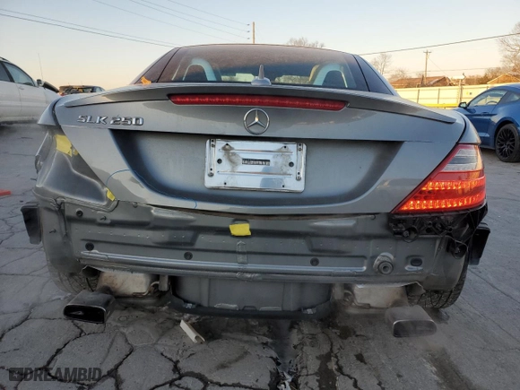 2015 Mercedes-Benz SLK-Class SLK 250 with VIN WDDPK4HA0FF103931, listed as a Copart auction lot 45913835 with NaN miles and Salvage Title. Bid and sale history available at carsss.com. Image 6.