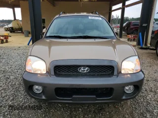 2004 Hyundai Santa Fe GLS with VIN KM8SC13E34U595014, listed as a Copart auction lot 55642745 with 69,303 mi miles and Salvage title. Bid and sale history available at DreamBid. Image 5.