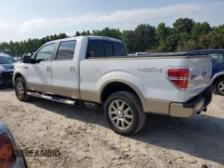 2009 Ford F-150 XL with VIN 1FTPW14V99KB33415, listed as a Copart auction lot 60546565 with 96,602 mi miles and Salvage title. Bid and sale history available at DreamBid. Image 2.