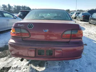 2005 Chevrolet Classic with VIN 1G1ND52F95M192391, listed as a Copart auction lot 42448245 with 0 mi miles and Salvage Title. Bid and sale history available at carsss.com. Image 6.