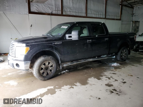 2010 Ford F-150 XL with VIN 1FTFW1EV8AFD31300, listed as a Copart auction lot 45961935 with Not Provided miles and Salvage Title. Bid and sale history available at DreamBid. Image 1.
