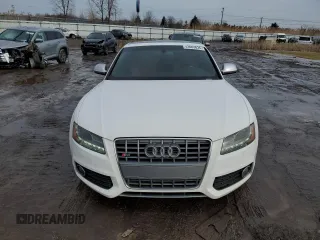 2008 Audi S5 with VIN WAURV78T38A032816, listed as a Copart auction lot 43603835 with 125,609 mi miles and Salvage Title. Bid and sale history available at carsss.com. Image 5.