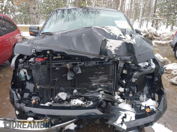2009 Ford F-150 XL with VIN 1FTPX14V69FB05187, listed as a IAAI auction lot 41548156 with 14 mi miles. Bid and sale history available at carsss.com. Image 10.