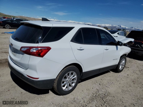 2019 Chevrolet Equinox LS with VIN 3GNAXHEVXKS626192, listed as a Copart auction lot 50269295 with 123,162 mi miles and Salvage Title. Bid and sale history available at carsss.com. Image 3.