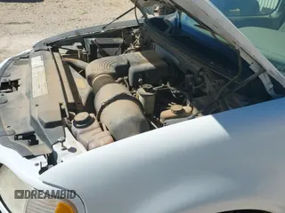 2000 Ford F-150 XL with VIN 1FTRX17W0YNB62938, listed as a IAAI auction lot 43574795 with Not provided miles and . Bid and sale history available at DreamBid. Image 19.