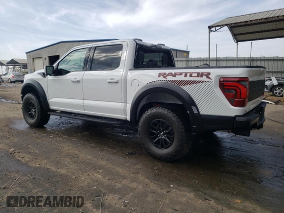 2024 Ford F-150 Raptor with VIN 1FTFW1RG5RFA24884, listed as a Copart auction lot 48981025 with 116 mi miles and Salvage Title. Bid and sale history available at DreamBid. Image 2.