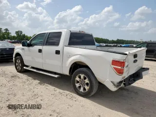 2011 Ford F-150 XL with VIN 1FTEW1CM9BKD99944, listed as a Copart auction lot 64069465 with 288,402 mi miles and Salvage title. Bid and sale history available at DreamBid. Image 2.