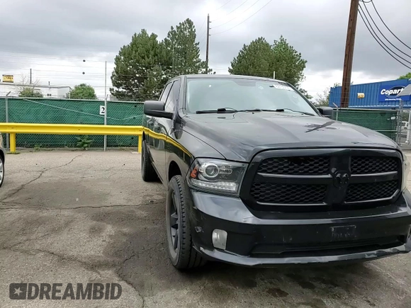 2014 Ram 1500 Express with VIN 1C6RR7FT1ES262250, listed as a Copart auction lot 62133795 with 292,270 mi miles and Salvage title. Bid and sale history available at DreamBid. Image 11.
