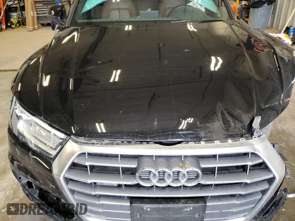 2019 Audi Q5 Premium with VIN WA1ANAFY9K2016496, listed as a Copart auction lot 54860595 with Not provided miles and Clean title. Bid and sale history available at DreamBid. Image 11.