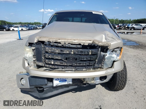 2010 Ford F-150 XL with VIN 1FTFW1EV7AFB20105, listed as a Copart auction lot 57966625 with 306,781 mi miles and Salvage title. Bid and sale history available at DreamBid. Image 5.