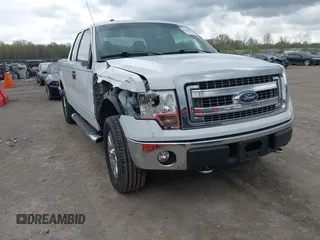 2013 Ford F-150 XL with VIN 1FTEX1EM0DFE01022, listed as a IAAI auction lot 42101860 with 153,993 mi miles. Bid and sale history available at carsss.com. Image 1.