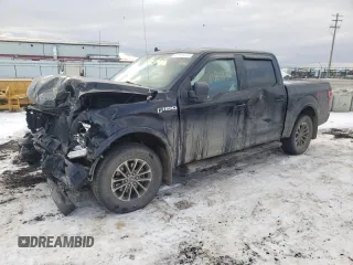 2019 Ford F-150 XL with VIN 1FTEW1EP9KKD61251, listed as a Copart auction lot 81344233 with 141,639 mi miles and Salvage title. Bid and sale history available at DreamBid. Image 1.