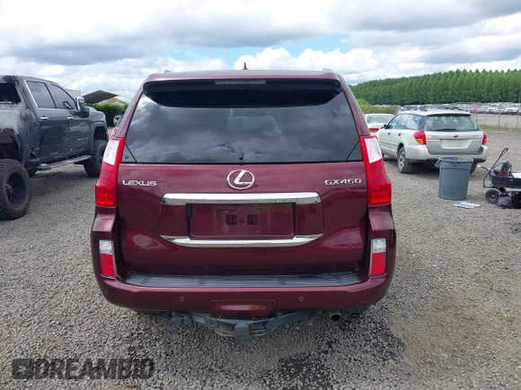 2010 Lexus GX 460 with VIN JTJBM7FX1A5013397, listed as a IAAI auction lot 42359170 with 90,288 mi miles and . Bid and sale history available at DreamBid. Image 16.