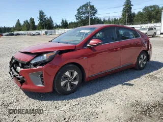 2019 Hyundai Ioniq SEL с VIN KMHC75LCXKU129446, выставлен на аукционе Copart как лот 61394695 с пробегом 83 416 миль миль и Списание • Salvage title. История ставок и продаж доступна на DreamBid. Изображение 1.