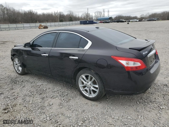 2010 Nissan Maxima 3.5 SV w/Premium Pkg with VIN 1N4AA5AP7AC856380, listed as a Copart auction lot 48403845 with 267,631 mi miles and Salvage Title. Bid and sale history available at carsss.com. Image 2.