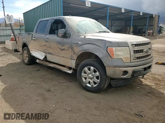 2013 Ford F-150 XL with VIN 1FTFW1EF3DFA22301, listed as a Copart auction lot 49437525 with Not Provided miles and Salvage Title. Bid and sale history available at DreamBid. Image 11.