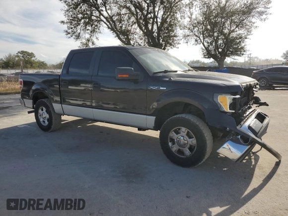 2010 Ford F-150 XL with VIN 1FTFW1CV6AFD01991, listed as a Copart auction lot 42699005 with 151,049 mi miles and Salvage Title. Bid and sale history available at DreamBid. Image 4.