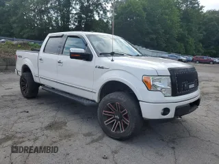2012 Ford F-150 XL with VIN 1FTFW1EF4CFA64846, listed as a Copart auction lot 64670505 with 154,182 mi miles and Salvage title. Bid and sale history available at DreamBid. Image 4.