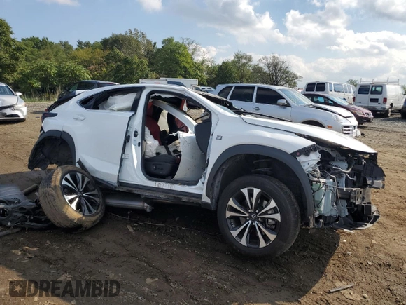 2020 Lexus NX with VIN JTJSARDZ5L5006917, listed as a Copart auction lot 47065935 with 0 mi miles and Non Repairable. Bid and sale history available at carsss.com. Image 4.