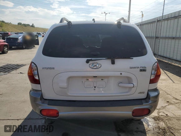 2004 Hyundai Santa Fe GLS with VIN KM8SC73E54U813053, listed as a Copart auction lot 70923004 with 143,490 mi miles and Salvage Title. Bid and sale history available at carsss.com. Image 6.