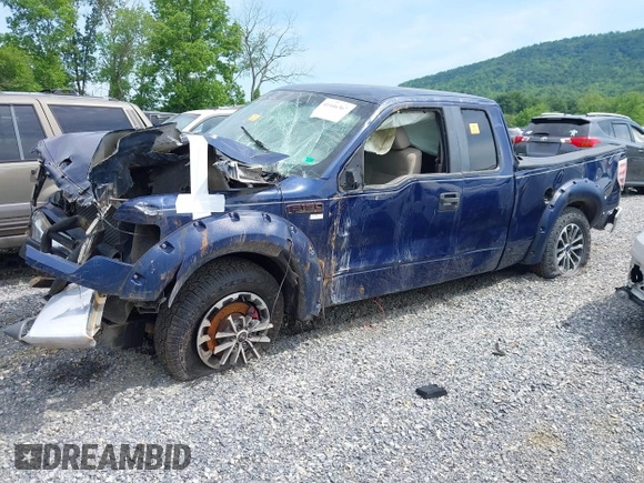 2010 Ford F-150 XL with VIN 1FTEX1E80AFA90416, listed as a IAAI auction lot 41446367 with Not provided miles and . Bid and sale history available at DreamBid. Image 2.