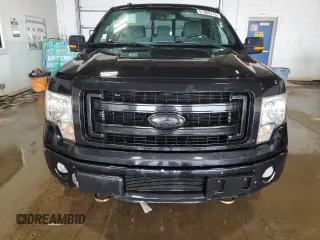 2013 Ford F-150 XL with VIN 1FTFX1ETXDKD54293, listed as a Copart auction lot 61966715 with 74,799 mi miles and Clean title. Bid and sale history available at DreamBid. Image 5.