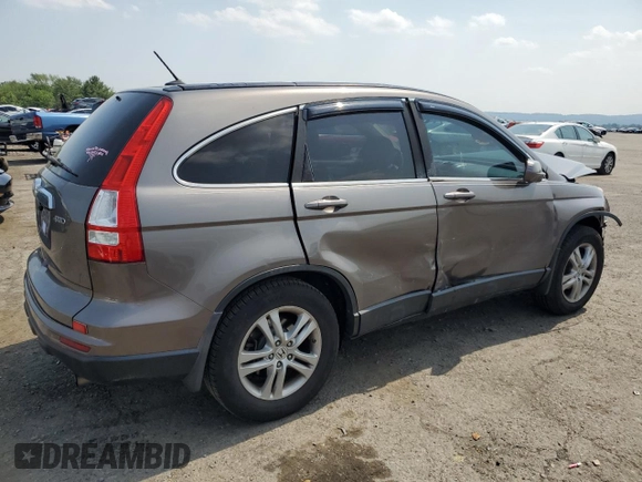 2010 Honda CR-V EX-L z VIN 5J6RE4H72AL034422, wystawiony jako Copart lot #60441365 z przebiegiem 141 711 mil mil oraz Szkoda całkowita • Salvage title. Historia ofert i sprzedaży dostępna na DreamBid. Obrazek 3.