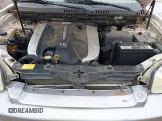 2003 Hyundai Santa Fe GLS with VIN KM8SC13E33U520344, listed as a IAAI auction lot 41528796 with 246,923 mi miles. Bid and sale history available at carsss.com. Image 10.