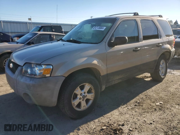 2007 Ford Escape XLT with VIN 1FMYU03Z77KB17649, listed as a Copart auction lot 81213684 with 113,011 mi miles and Salvage Title. Bid and sale history available at carsss.com. Image 1.