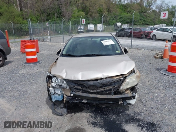 2011 Toyota Corolla L with VIN JTDBU4EEXB9147935, listed as a IAAI auction lot 42084049 with 29,573 mi miles and . Bid and sale history available at DreamBid. Image 12.
