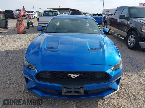 2019 Ford Mustang EcoBoost with VIN 1FA6P8THXK5185806, listed as a IAAI auction lot 42347754 with 18,920 mi miles and . Bid and sale history available at DreamBid. Image 12.