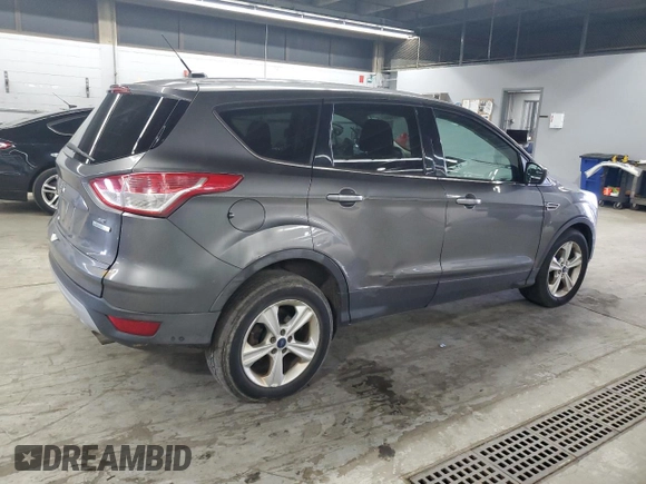 2014 Ford Escape SE with VIN 1FMCU0GX1EUB56869, listed as a Copart auction lot 55886845 with 175,575 mi miles and Clean Title. Bid and sale history available at DreamBid. Image 3.