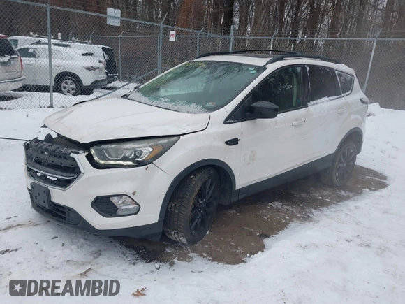 2017 Ford Escape SE with VIN 1FMCU9G96HUB49541, listed as a IAAI auction lot 41381783 with 178,323 mi miles. Bid and sale history available at carsss.com. Image 2.