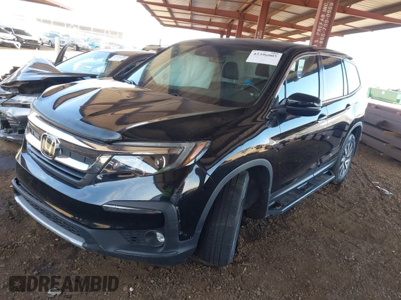 2019 Honda Pilot EX-L с VIN 5FNYF6H54KB084820, выставлен на аукционе IAAI как лот 42396005 с пробегом Не указан миль и . История ставок и продаж доступна на DreamBid. Изображение 2.