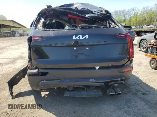2022 Kia Telluride EX with VIN 5XYP3DHC3NG228264, listed as a Copart auction lot 55439255 with 51,117 mi miles and Salvage title. Bid and sale history available at DreamBid. Image 6.