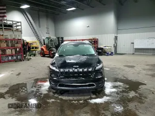 2016 Jeep Cherokee Limited with VIN 1C4PJLDS1GW249858, listed as a Copart auction lot 87513625 with 163,562 mi miles and Salvage Title. Bid and sale history available at carsss.com. Image 12.